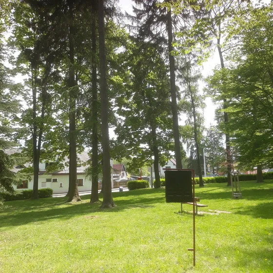 Lapač lýkožrouta smrkového