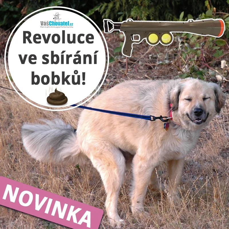 VášChovatel: Každý, kdo u nás nakupuje, podporuje zároveň útulky. Snažíme se, aby naše podnikání mělo přesah