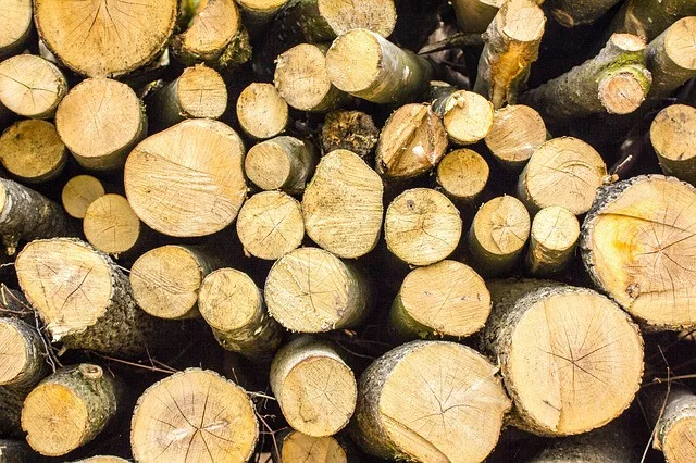Ilustrační foto