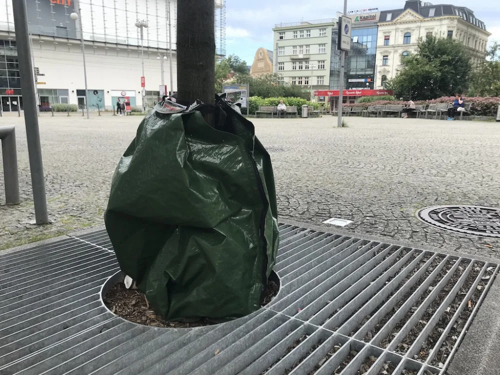 Vak u stromu na Soukenném náměstí.