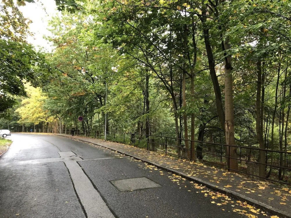 Radnice chce revitalizovat lesopark ve Fibichově ulici. Kdy, to zatím jasné není