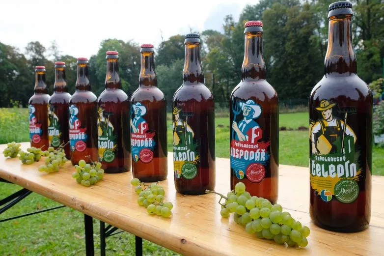 Školní pivo 2020