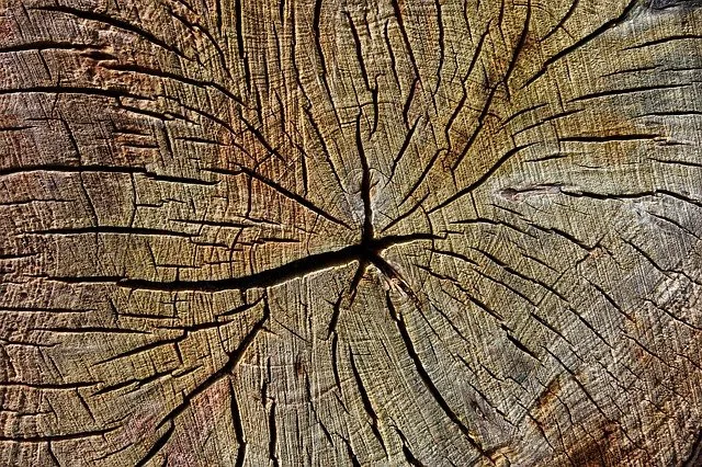 Ilustrační foto
