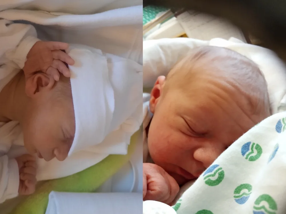 Hlasujte pro drbňátko za měsíc prosinec