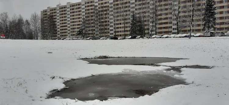 Tůně před Hokejkou. U největšího libereckého paneláku se budou rozmnožovat obojživelníci