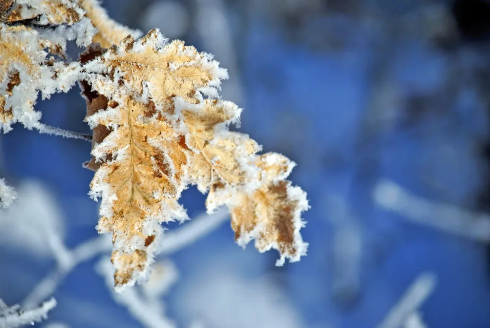 K ránu teplota v Libereckém kraji byla místy pod minus 15 stupni