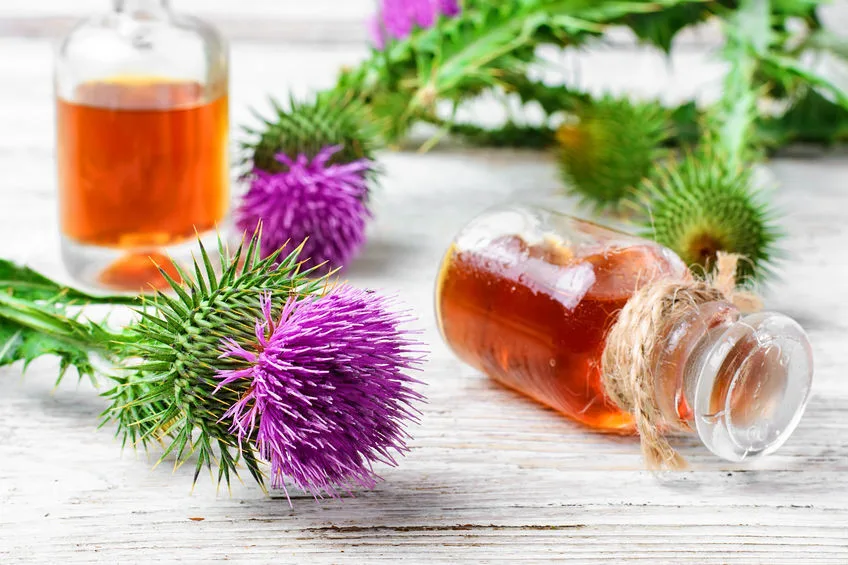Detoxikace organismu: Kdy se do ní pustit a jak dlouhodobě udržet tělo bez škodlivých látek