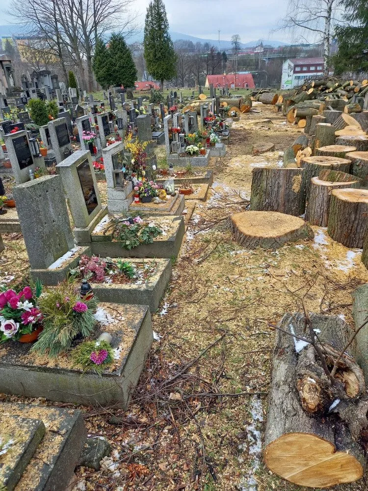 Pryč jsou i zdravé stromy, piliny zůstaly na hrobech