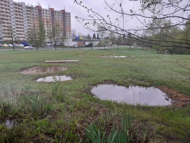 Nové tůně, stromy i trvalky. Louka za Hokejkou se proměnila