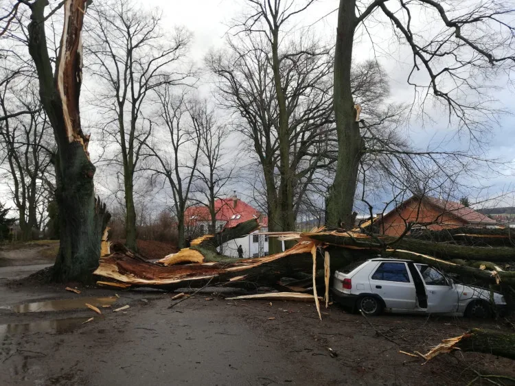 Meteorologové varují. Ve čtvrtek dorazí silný vítr