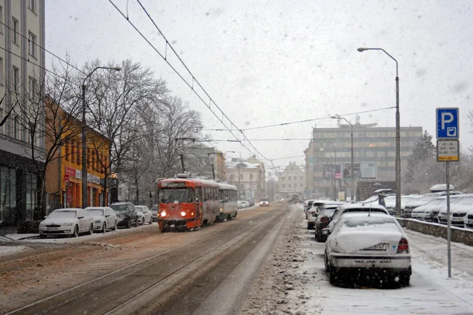 V týdnu bude vydatněji sněžit i foukat, na horách hrozí závěje