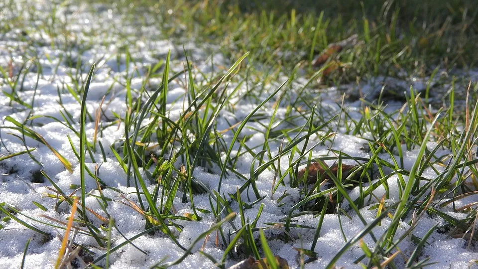 Teploty v týdnu vystoupí až k deseti stupňům. Ochladí se o víkendu
