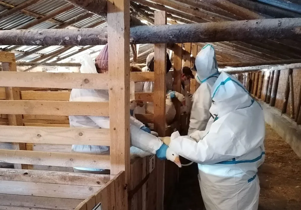 Veterináři v Libereckém kraji loni uložili 157 pokut, více než o rok dříve
