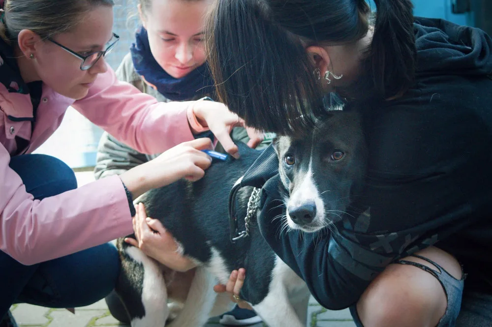 Veterináři bez hranic ČR