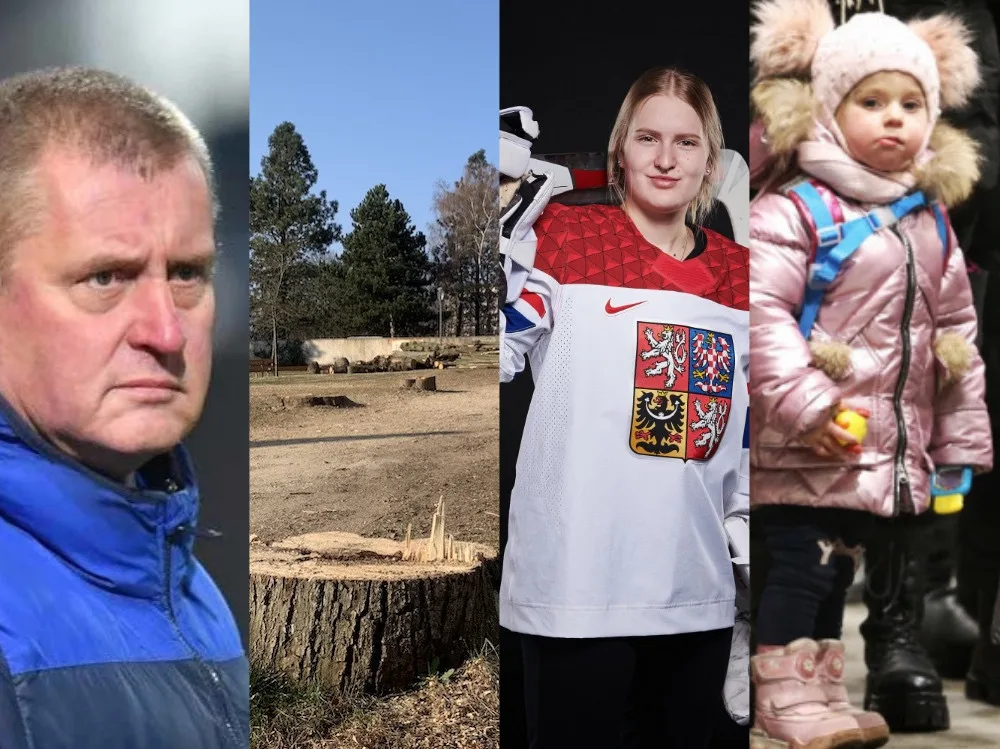 PŘEHLED: Přečtěte si, co se Liberecké Drbně v březnu povedlo