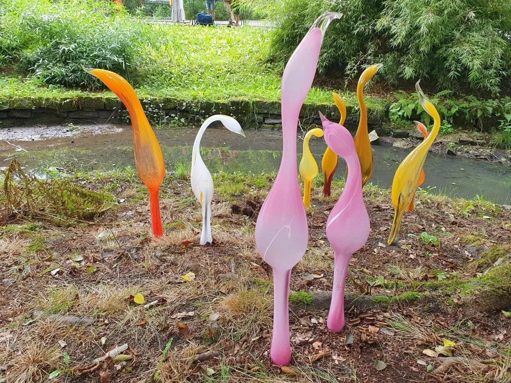 Sklenění plameňáci v liberecké zoo