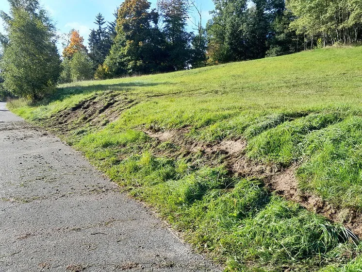 Poškozená zeleň a znečištěná komunikace včetně in-line tratí
