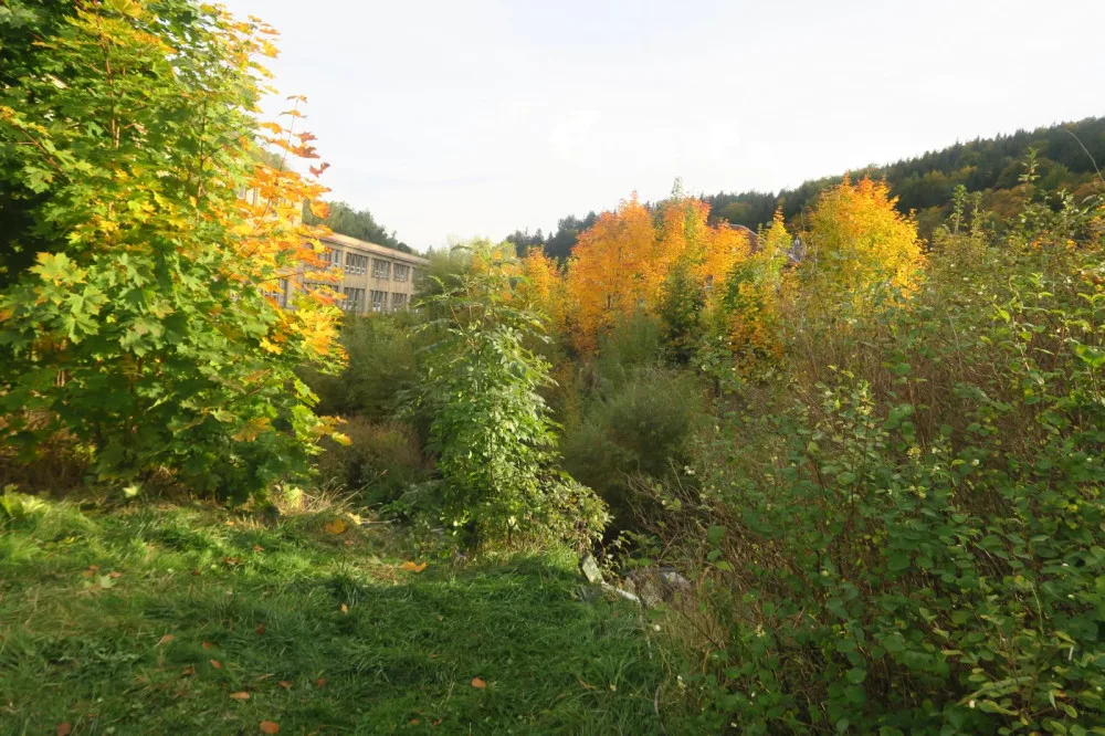 Řidič v Tanvaldu sjel z parkoviště do koryta řeky, na místě zemřel. Policie hledá svědky nehody