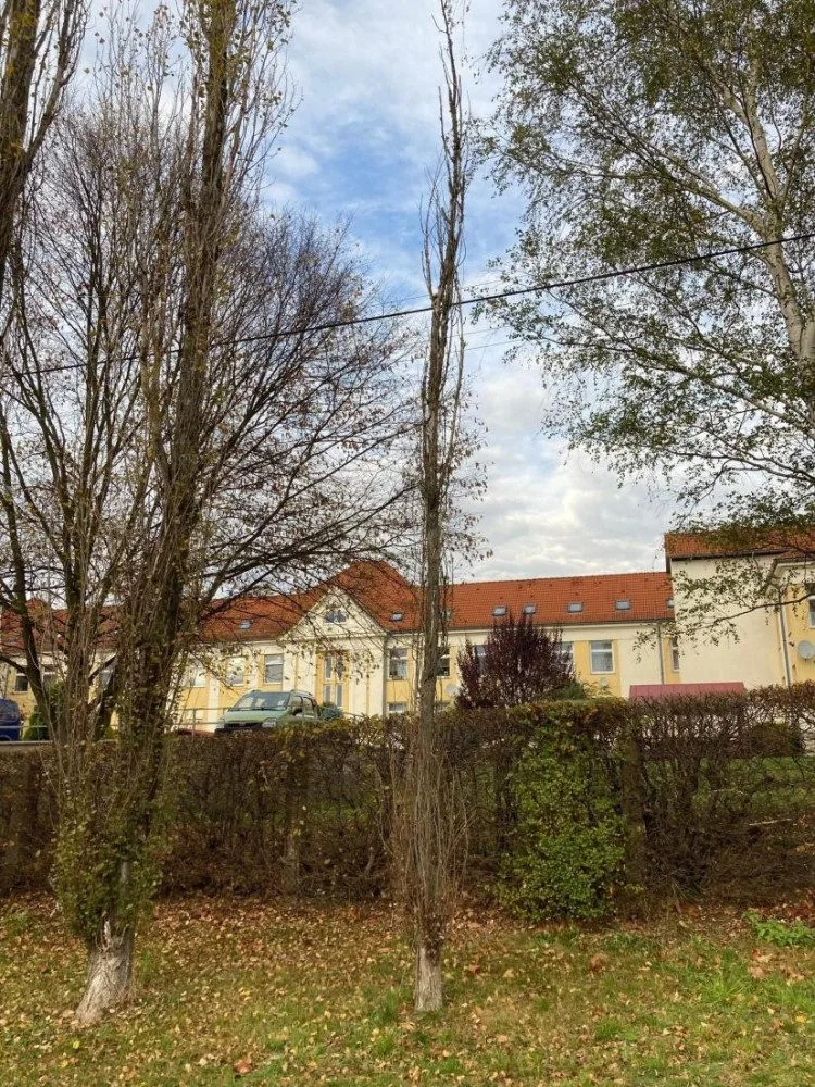 Ve Frýdlantu budou o víkendu kácet nebezpečné topoly u Rákosníčkova hřiště. Přilehlé parkoviště se uzavře