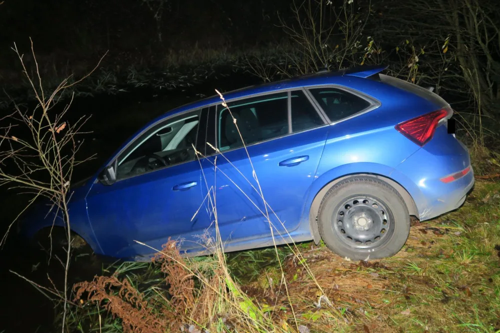 Řidiči na Jablonecku vběhla do cesty srna. Auto skončilo v potoce