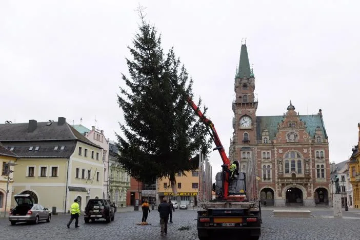 Frýdlantský vánoční strom