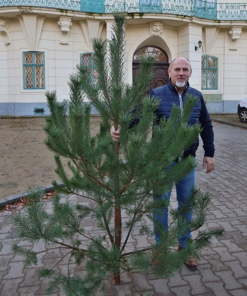 Ředitel Dětského domova Jablonné v Podještědí Vlastimil Faltýnek