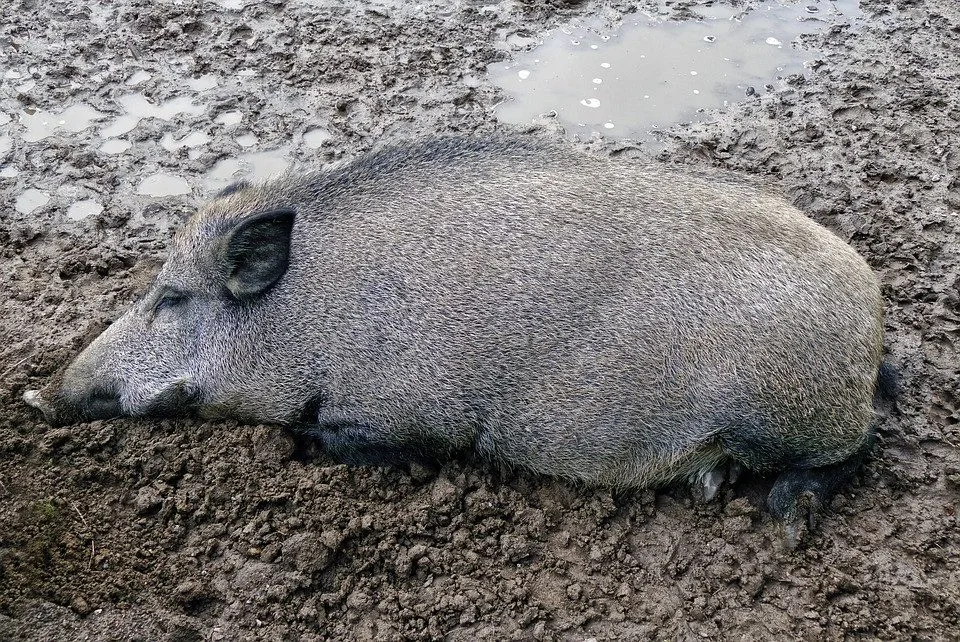 Ilustrační foto