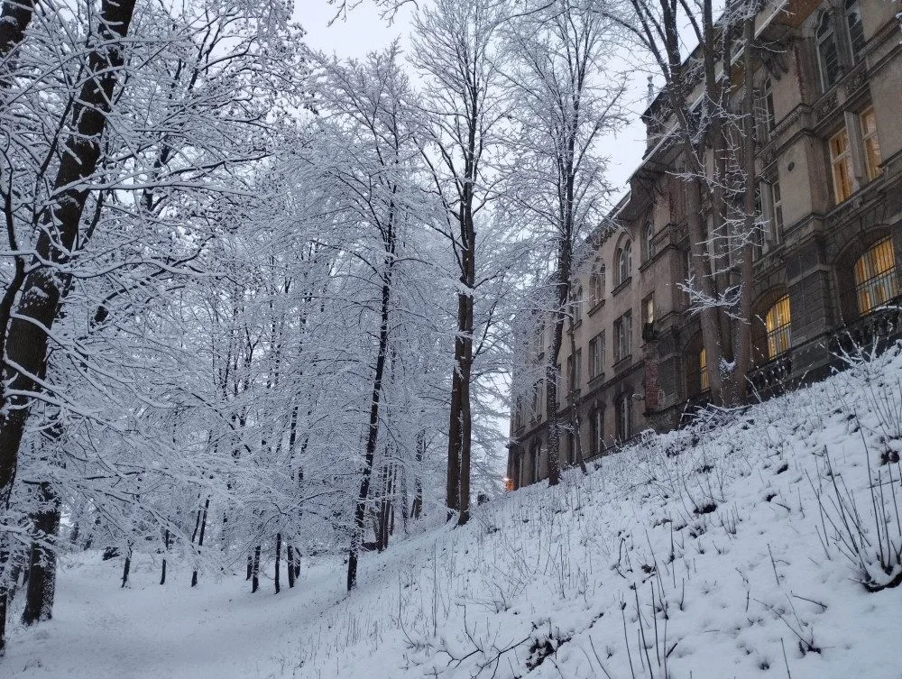 Sněhem zapadal i Liberec.