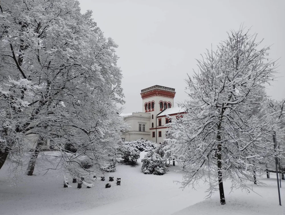 Sněhem zapadal i Liberec.