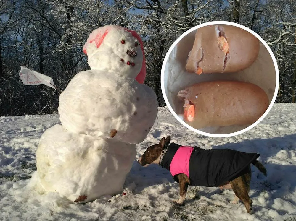 Otrávené návnady našla pejskařka ve Vratislavicích.