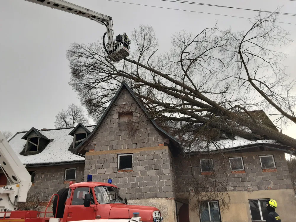 Následky vichřice jsou velké, strom fatálně zranil koně v liberecké zoo. Silný vítr ustává