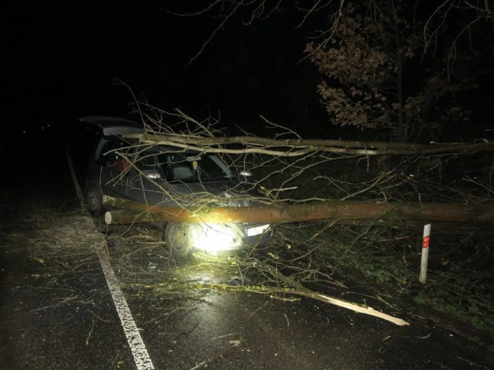 Na auto spad strom