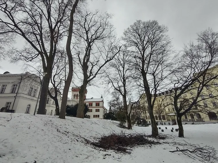 Ošetřovací práce v parku Clam-Gallasů.
