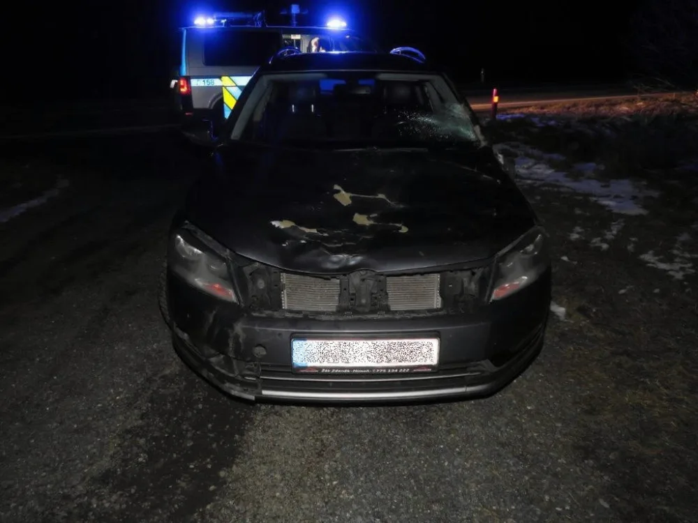 Auto po útoku jelena.