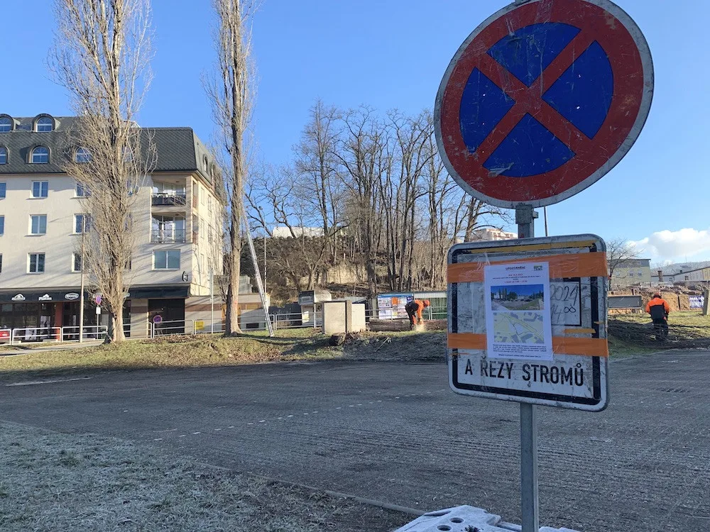 Připravovaná rekonstrukce Sokolské začala kácením. Stavbu chce město zahájit v létě