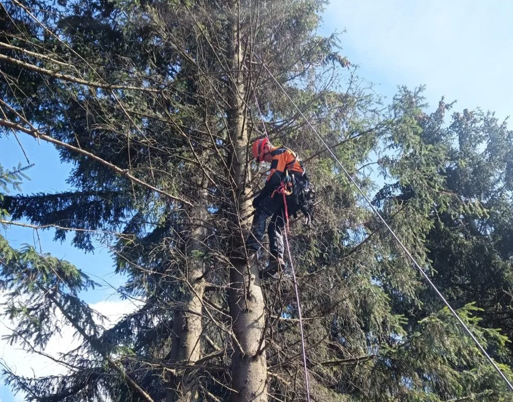 Hasič lezec při zdolávání stromu při záchraně paraglidisty.