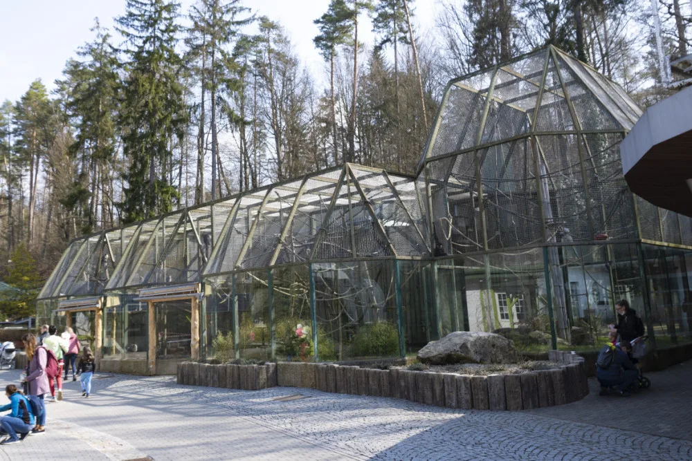 V liberecké zoo je návštěvníkům po téměř osmi měsících přístupný pavilon opic