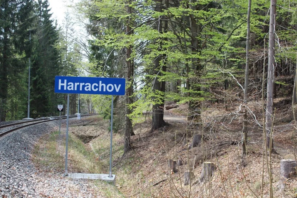 Ilustrační foto
