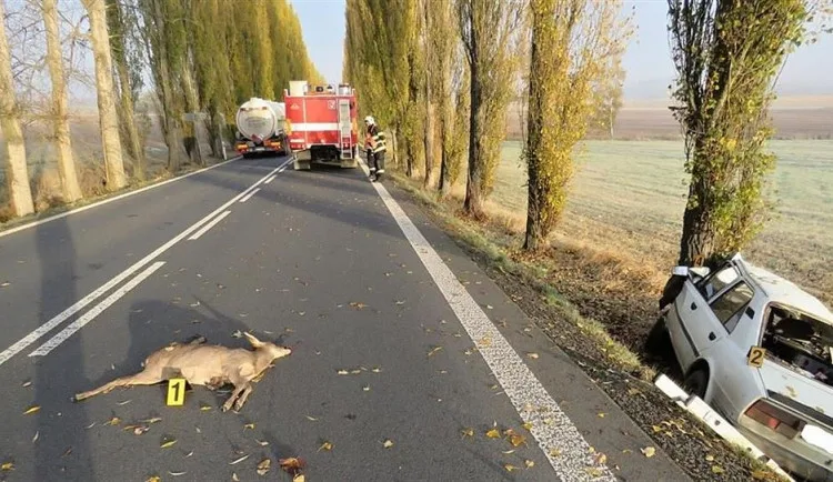 Ilustrační foto.