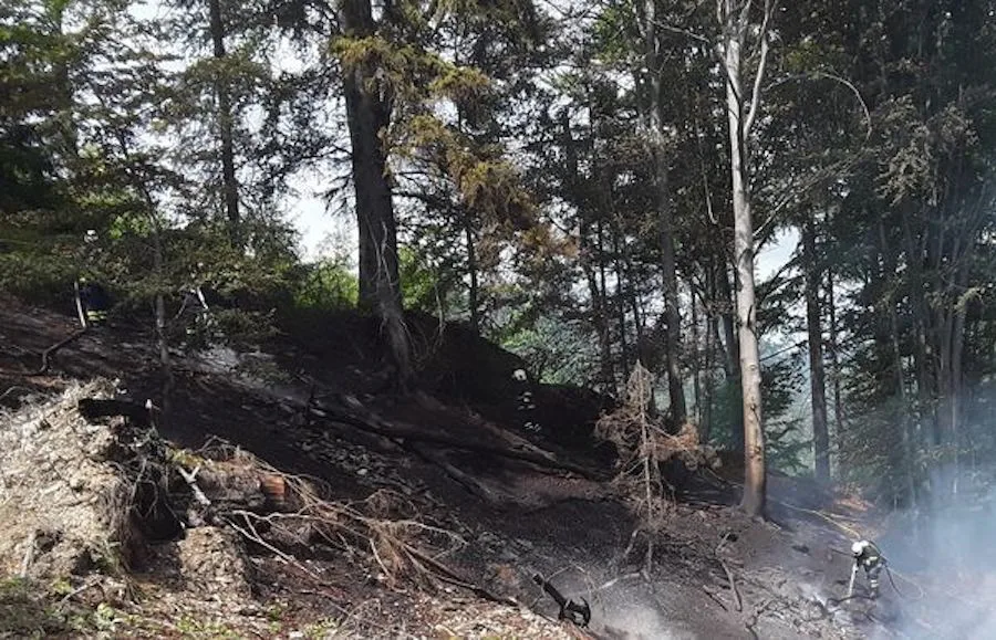 Meteorologové kvůli suchu dál rozšířili výstrahu na nebezpečí požárů, nově platí i pro většinu Libereckého kraje
