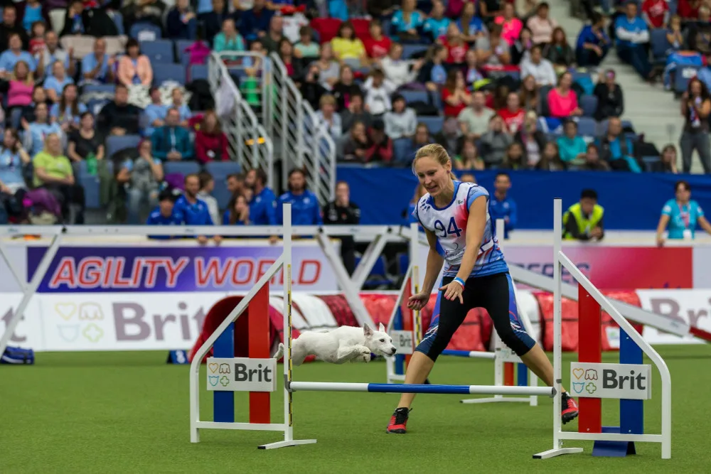 Mistrovství světa v agility 2023 se v Liberci uskuteční 4. - 8. října.