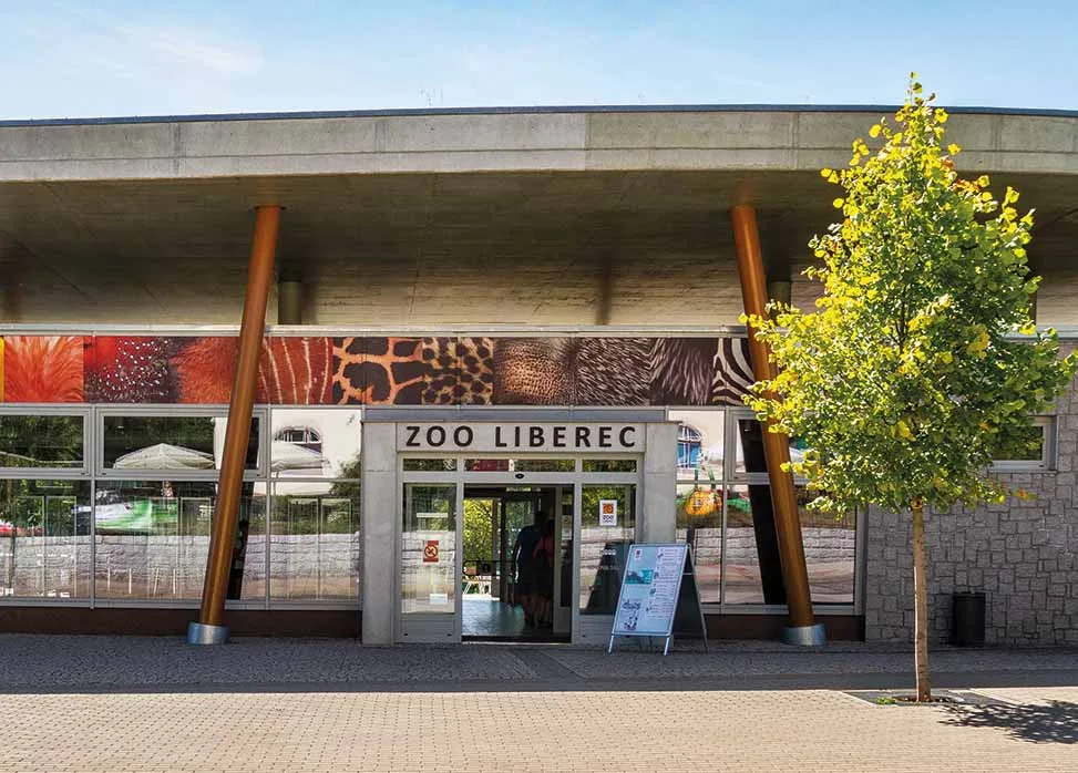 Nové přírůstky v liberecké zoo. Návštěvníci se mohou těšit na mláďata kopytníků