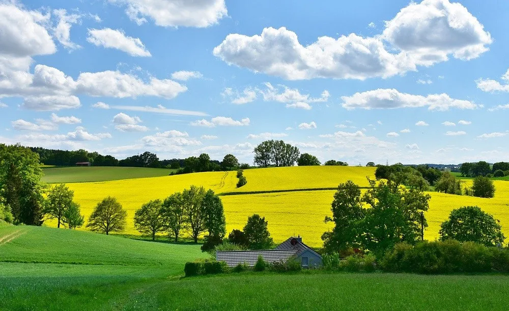 Ilustrační foto