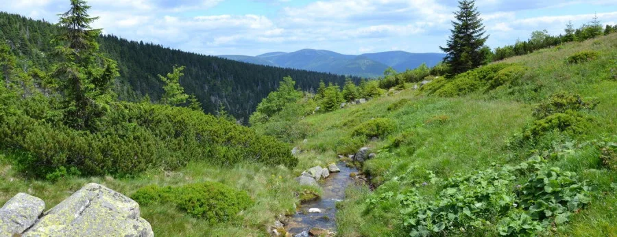 Víkendovou krásu Krkonoš nabídne dvacetikilometrová Harrachova cesta