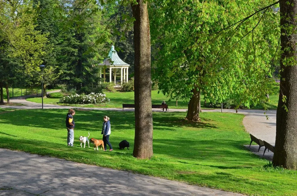 Tyršův park v Jablonci nad Nisou.