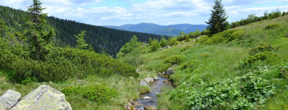 Harrachova cesta.