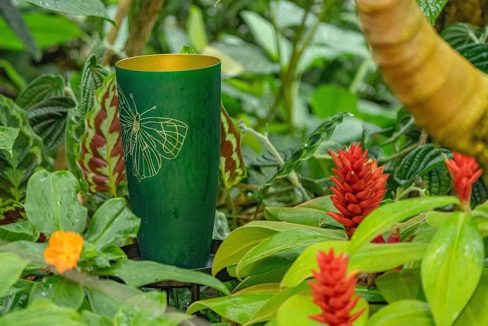 Sklo na náměstí, v tramvaji i botanické zahradě. V Liberci probíhá sklářský festival