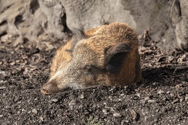 Ilustrační foto
