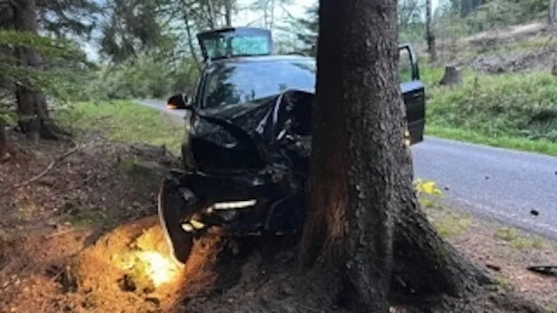 Lekla se přebíhající srnky, auto sešrotovala o strom