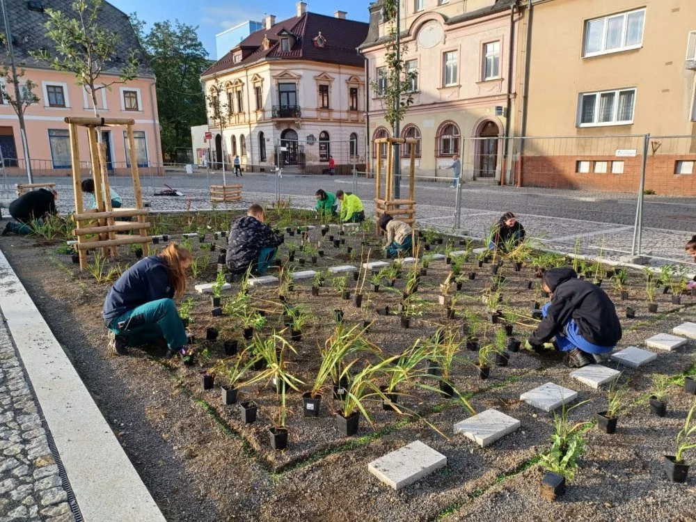 Výsadba na náměstí v Novém Městě pod Smrkem.